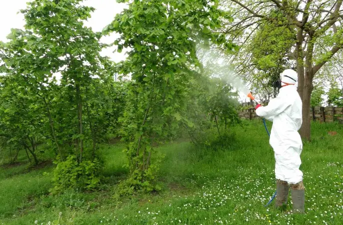 İlaçlama İçin Kritik Dönem