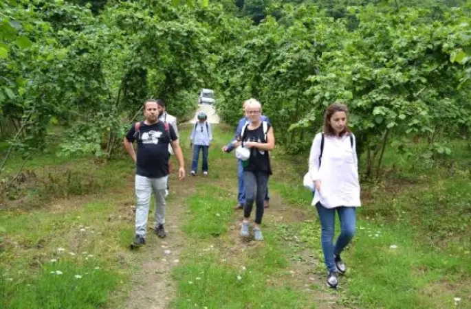 İtalyan ve İspanyol Üreticiler Fındık Bahçelerini Gezdi