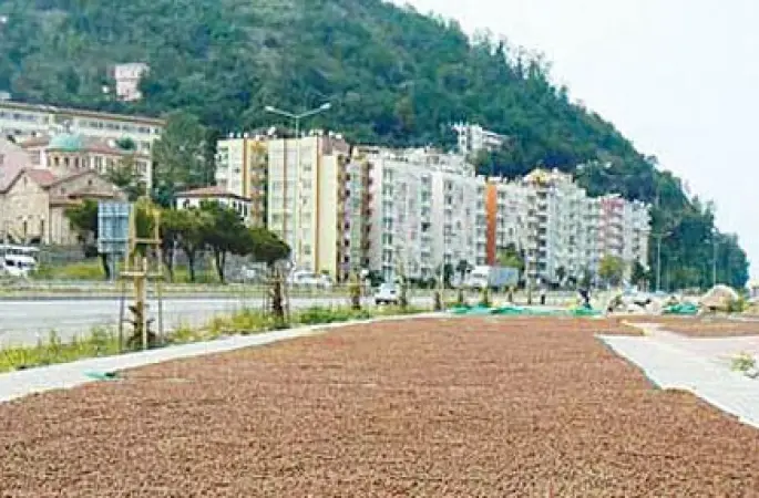 Her yıl aynı sorun yaşanıyor