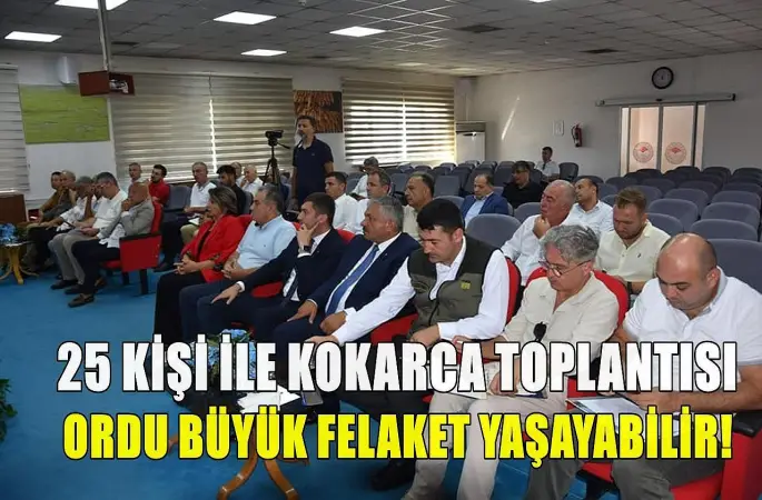 Kahverengi Kokarca Ordu İçin Büyük Tehdit Oluşturuyor