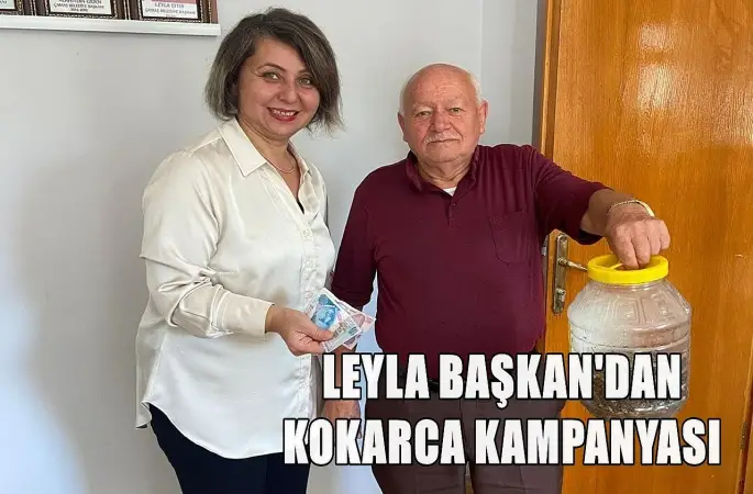 Kahverengi Kokarca Tehdidi: Çamaş Belediyesi Kokarca Alım Kampanyasını Başlattı