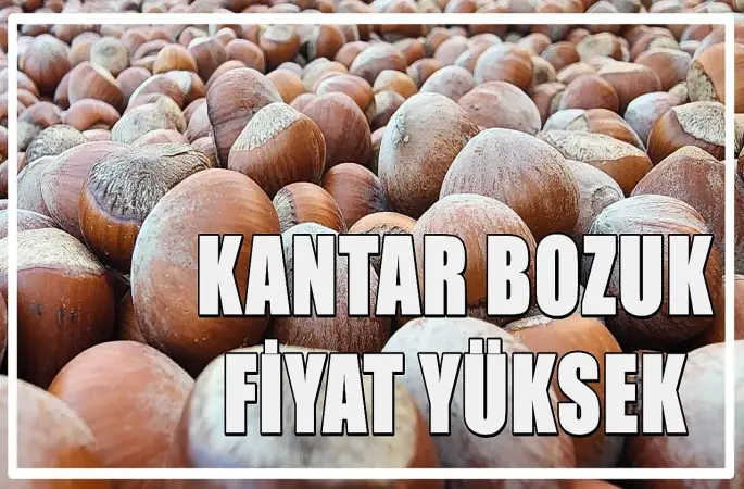 Kantarda Hile İddiası: Fındık Fiyatını Yükselten Tüccara Dikkat!