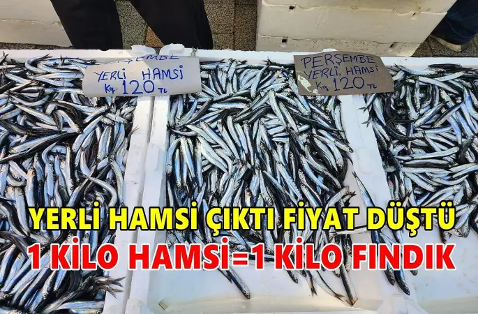 Karadeniz Hamsisi Çıktı; Fiyatlar Yarı Yarıya Düştü!