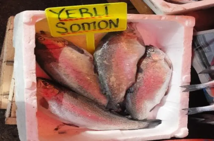 Karadeniz Somonu, Norveç Somonuna Rakip