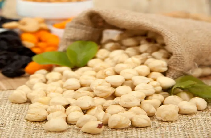 Karadeniz'de Fındık Devrimi