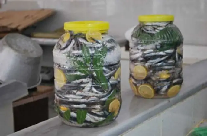 Karadeniz'de Turşu Zamanı