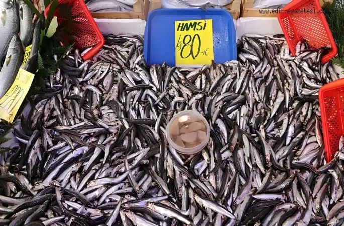 Karadeniz’deki En Pahalı Hamsi Ordu’da