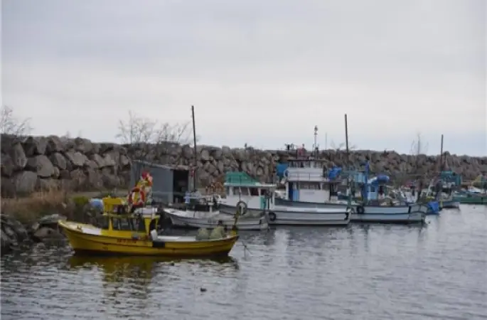 Karadenizli Balıkçılar Sezonu Buruk Kapatıyor