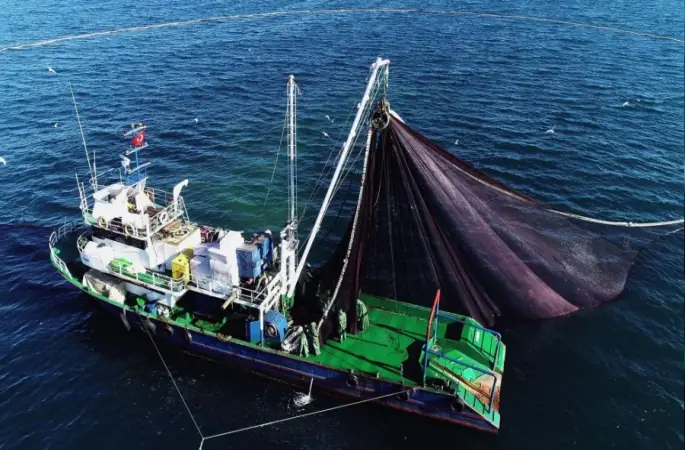 Karadenizli Balıkçılar Yeni Sezonda Palamut Bereketi Bekliyor