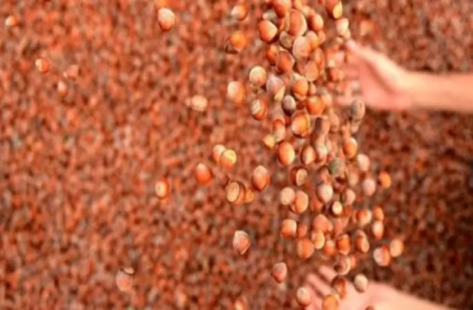 Kararlı Tutum Fiyatları Yükseltiyor