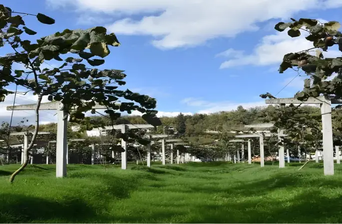 Kırsal Kalkınma Desteklerinde Başvuru Süresi Uzatıldı