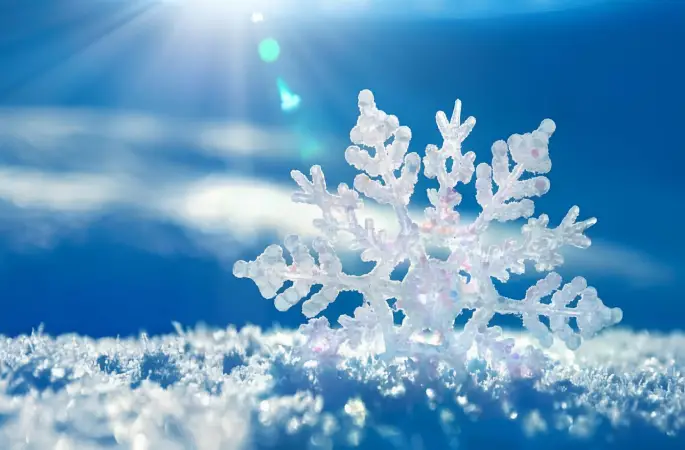 Kış Geri Dönüyor!