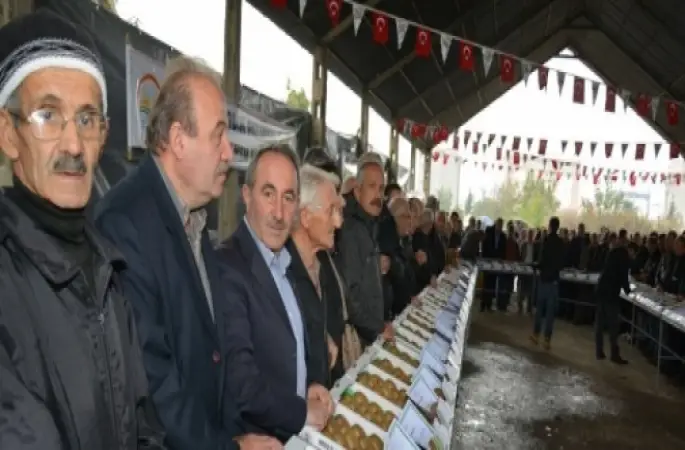 Kivi Şenliği Yapıldı