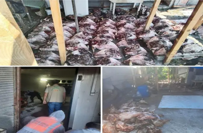 Koku Geldi, Skandal Patladı: Ordu’da Bozulmuş Et Operasyonu