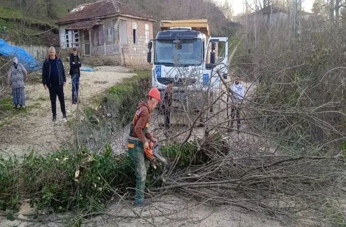 Kumru’da YEDAŞ Ekiplerinden Elektrik Kesintilerine Karşı Ağaç Kesim Çalışmaları