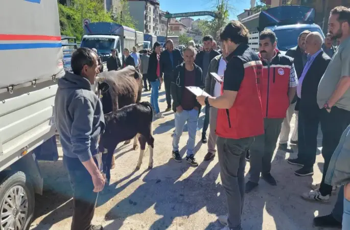 Kurban Bayramı Öncesi Kumru'da Hayvan Pazarı Denetlendi