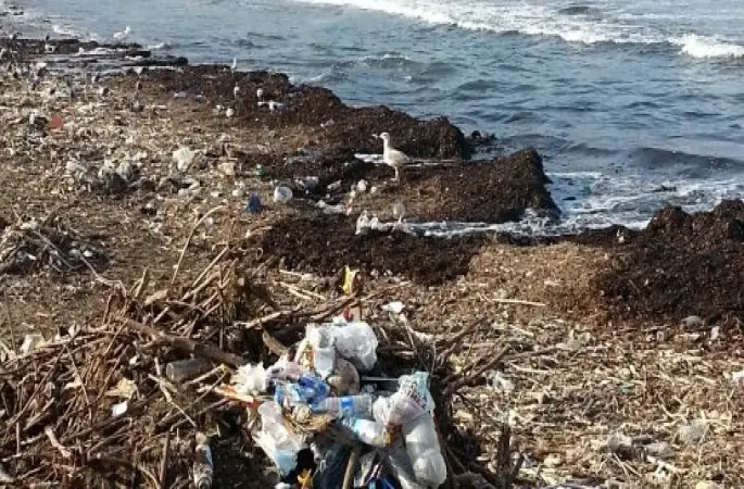 Ordu Kıyıları Plastik Çöplüğü