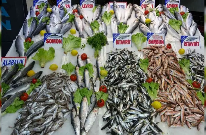 Ordu Balık Fiyatları