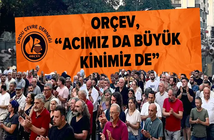 Ordu Çevre Derneği’nden Hopa'daki Orman Kesimi Katliamına Sert Tepki