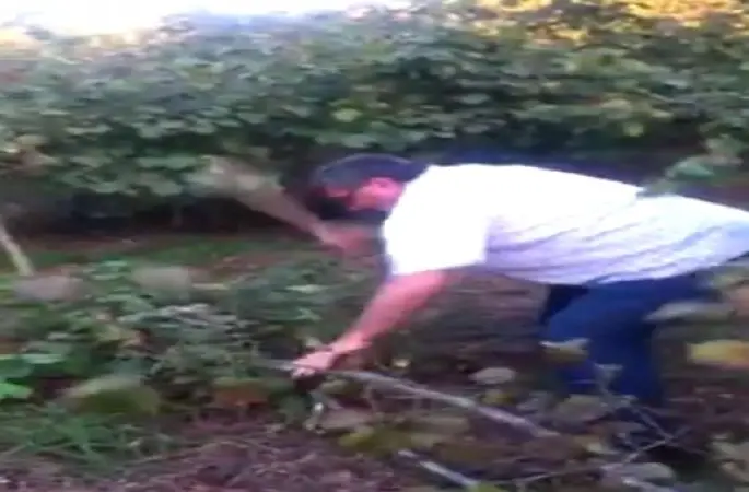 Ordu Fındık Yakarak Fiyatı Protesto Ettiler