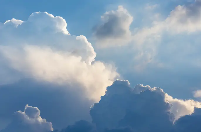 Ordu Hava Durumu (1 Kasım 2024)