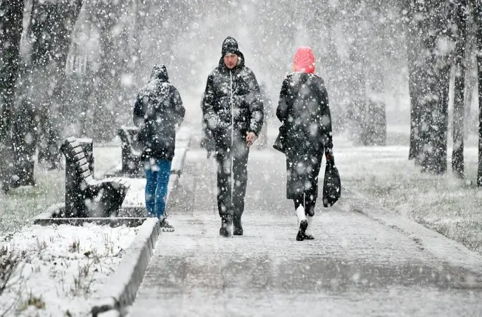 Ordu Hava Durumu 19 Şubat 2025