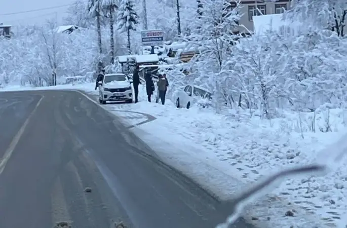 Ordu Ulubey Yolunda Kaza: Araçlar Refüje Girdi