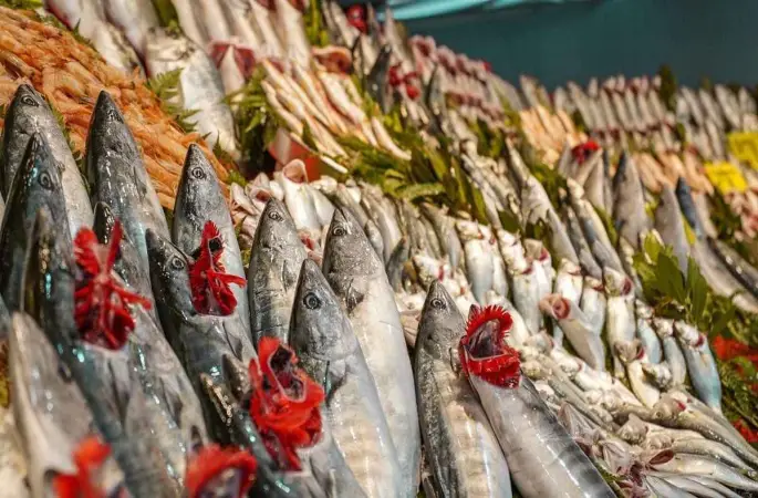 Ordu’da Balık Fiyatları Nedir? 11 Nisan 2025