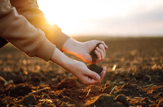 Ordu'da Eller Toprağa Dokunuyor!