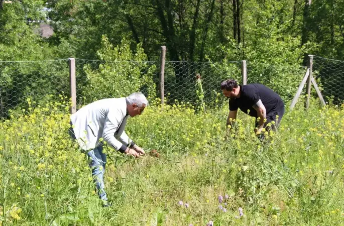Ordu’da Fındığa Alternatif Yeni Geçim Kaynakları