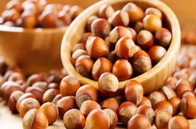 Ordu'da Fındık 9 Liradan İşlem Gördü