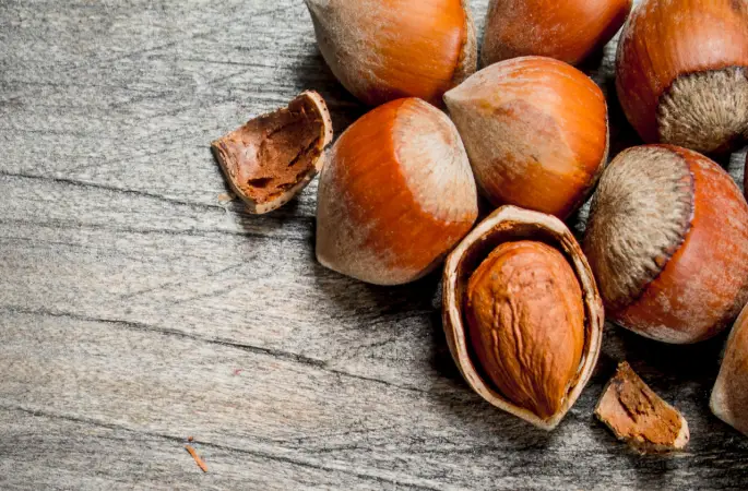 Ordu’da fındık fiyatı yeni haftanın ilk günü ne kadar oldu?