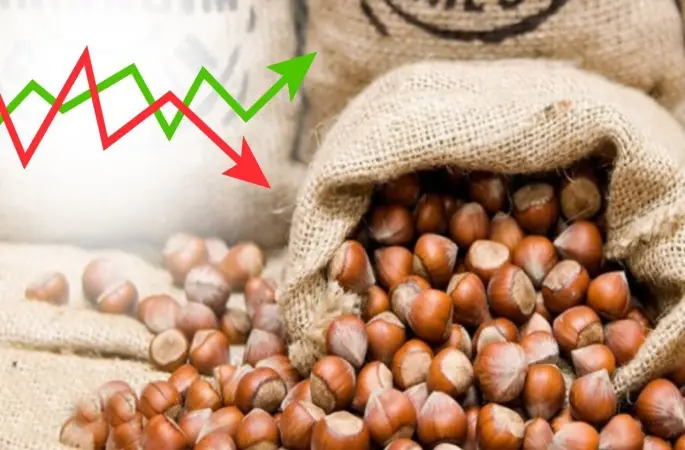 Ordu’da Fındık Fiyatları Ne Durumda? 16 Mayıs 2025