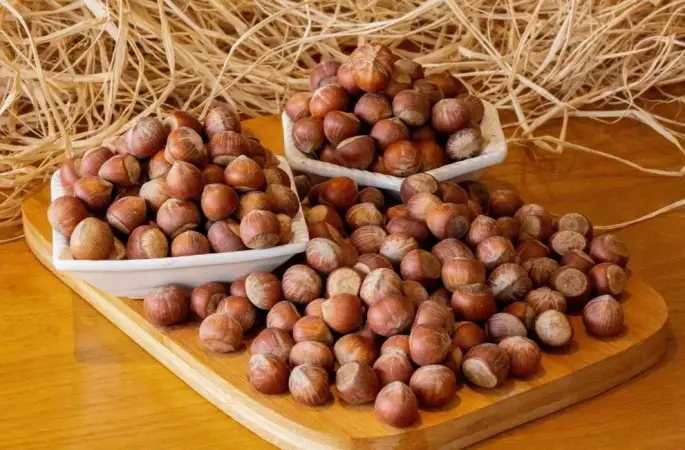 Ordu’da Fındık Fiyatları Ne Durumda? 18 Nisan 2025