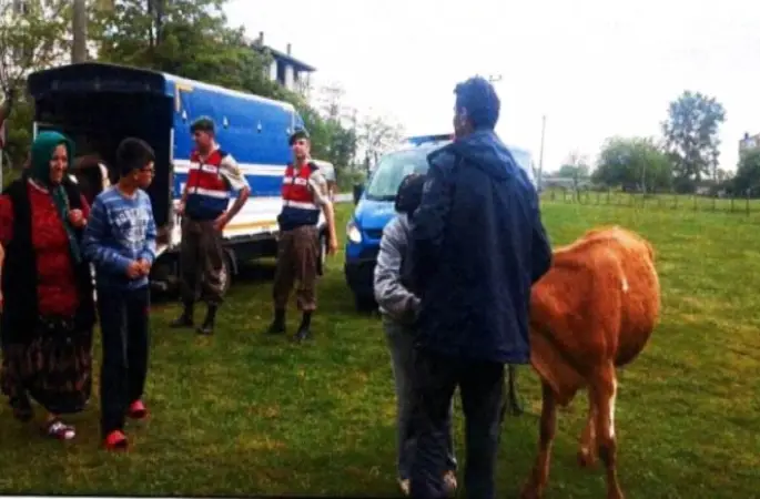 Ordu'da Hayvan Hırsızlığına 1 Tutuklama