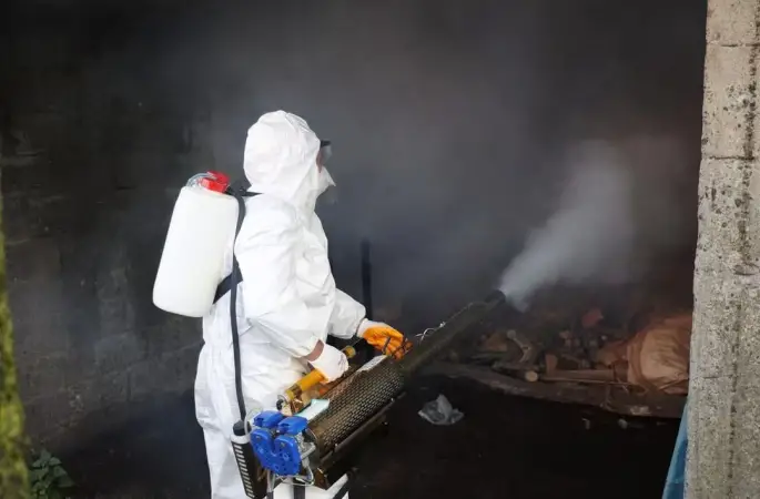 Ordu’da kahverengi kokarcaya karşı kışlak seferberliği: 300 bin noktada ilaçlama planı