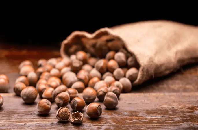 Ordu’da Randımanına Göre Fındık Fiyatları Ne Kadar?