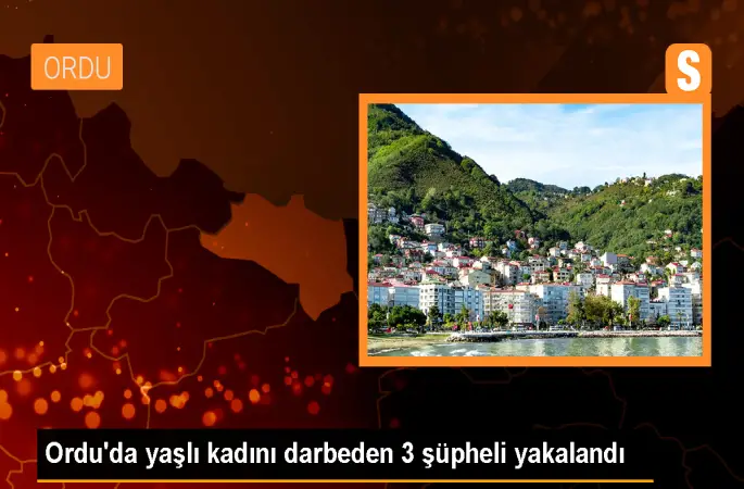 Ordu'da yaşlı kadının yaralandığı tartışmada 3 şüpheli gözaltına alındı