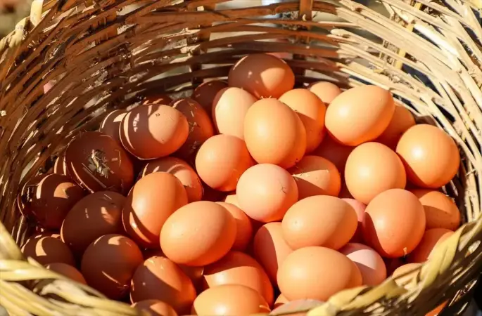 Ordu'da Yumurta Üretimi 45 Milyon Adete Ulaştı