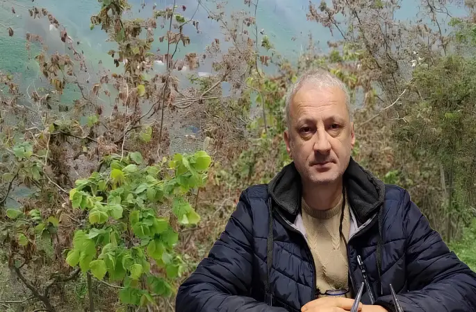 Ordu’da Zirai Don Felaketi: Fındığın Karnı Aç, Dallar Kurudu!