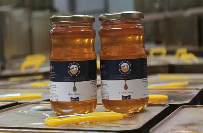 Ordu'dan 55 Ülkeye Bal İhracatı