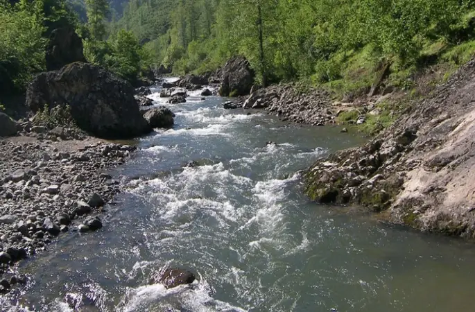 Ordu’nun dereleri sizden utanç duyuyor