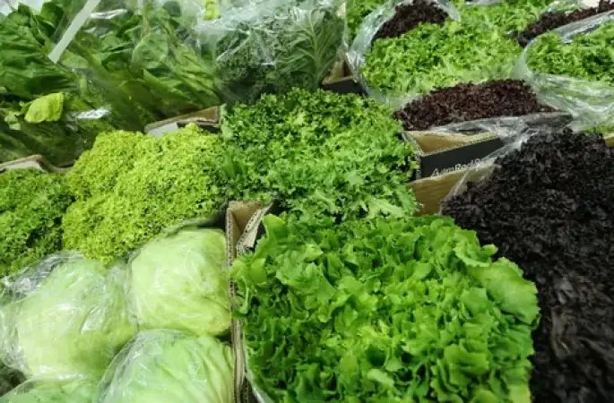 Ordu'nun Yöresel Lezzeti Dudak Uçuklatıyor