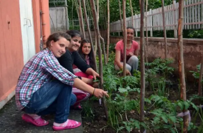 Ev Ortamında Pansiyon