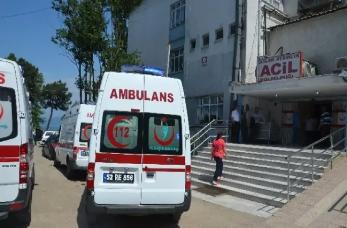 Ordu da Ağaçtan Düşerek Yaralandı