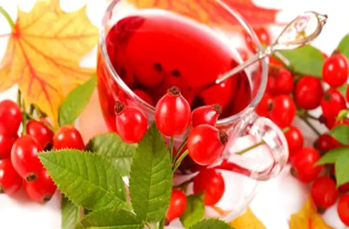 Kuşburnunun öyle bir faydası var ki..