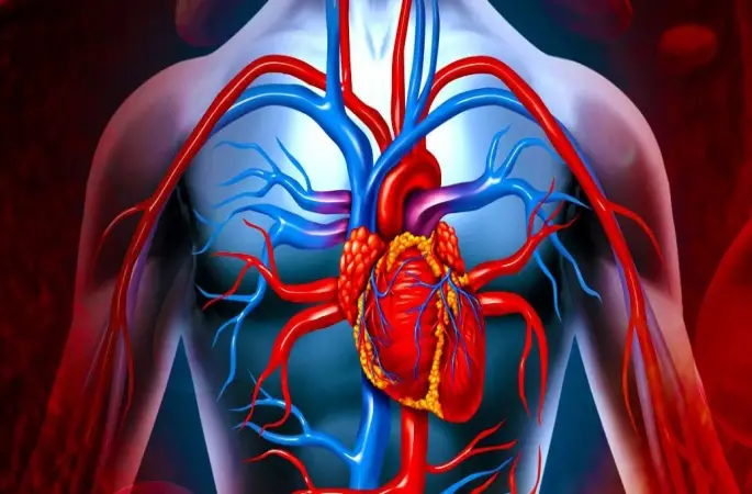 Stres Kalbin Kaderini Belirliyor!