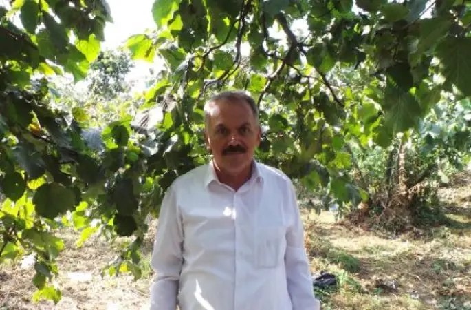 Suriyeli'ler Fındık Hasadında Çalışabilecek!