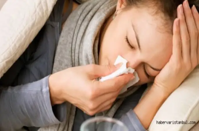 Yeni Bir Grip Salgın Uyarı