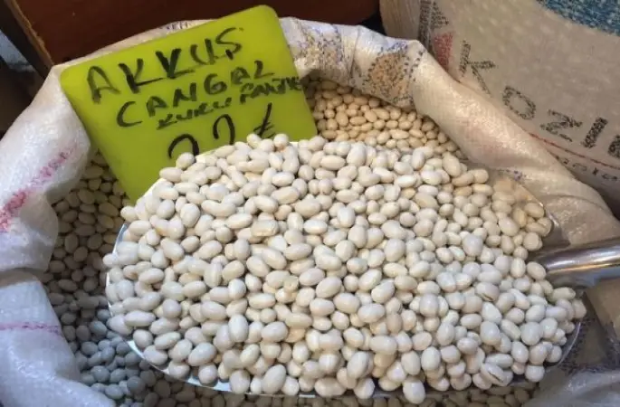 Tescilli Fasulyede 300 Ton Rekolte Bekleniyor